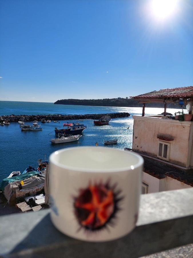 普罗奇达La Terrazza Di Maria公寓 外观 照片